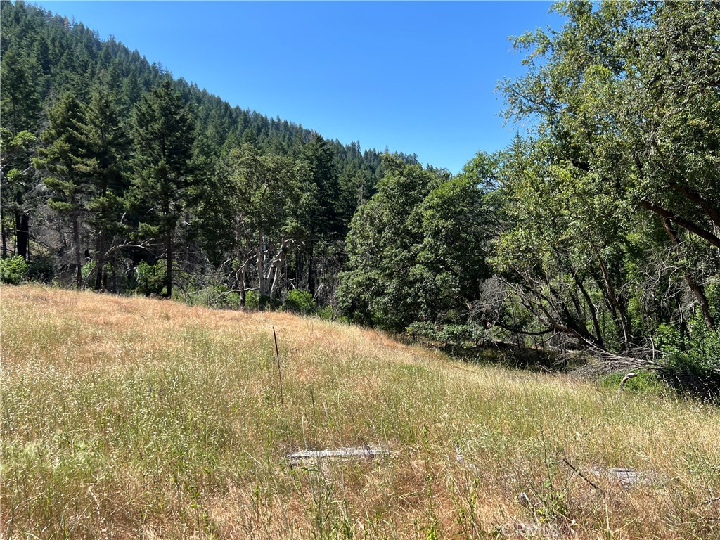 20925 Mid Mountain (17n17 Usfs) Road Property Photo 7
