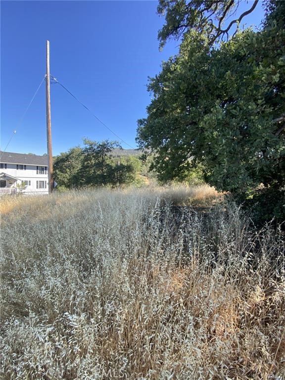 7140 Morton Street Property Photo 5