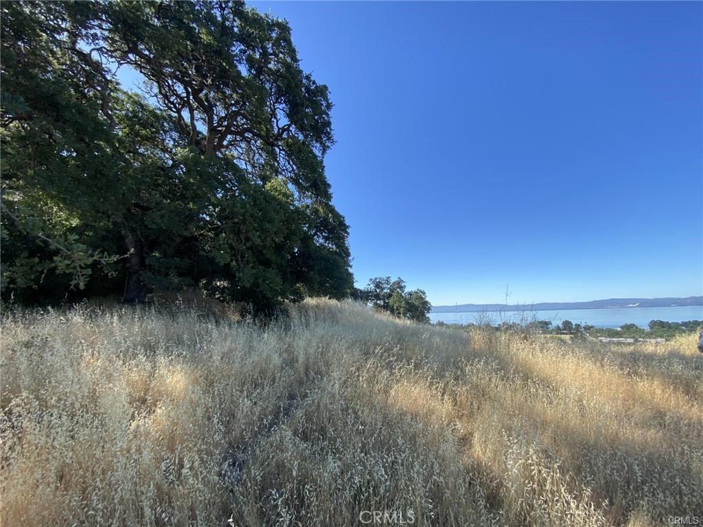 7140 Morton Street Property Photo 6