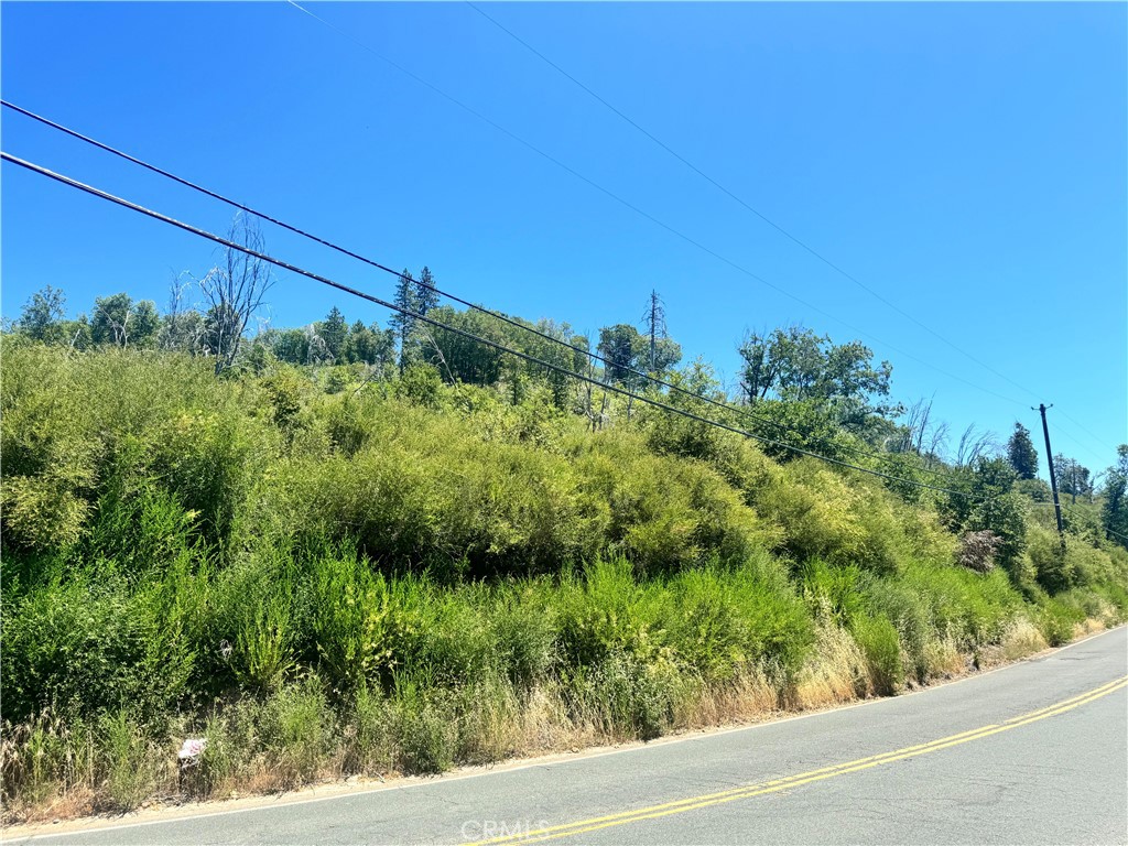 11030 Loch Lomond Road Property Photo 1