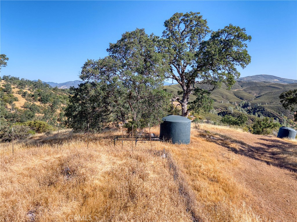 1034 Round Ball Road Property Photo 3