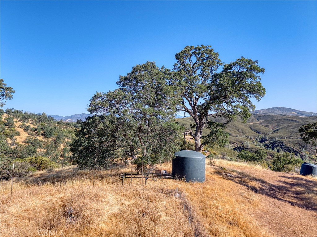1034 Round Ball Road Property Photo 4