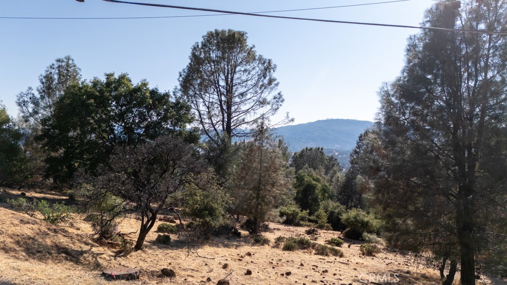 15781 Little Peak Road Property Photo 1