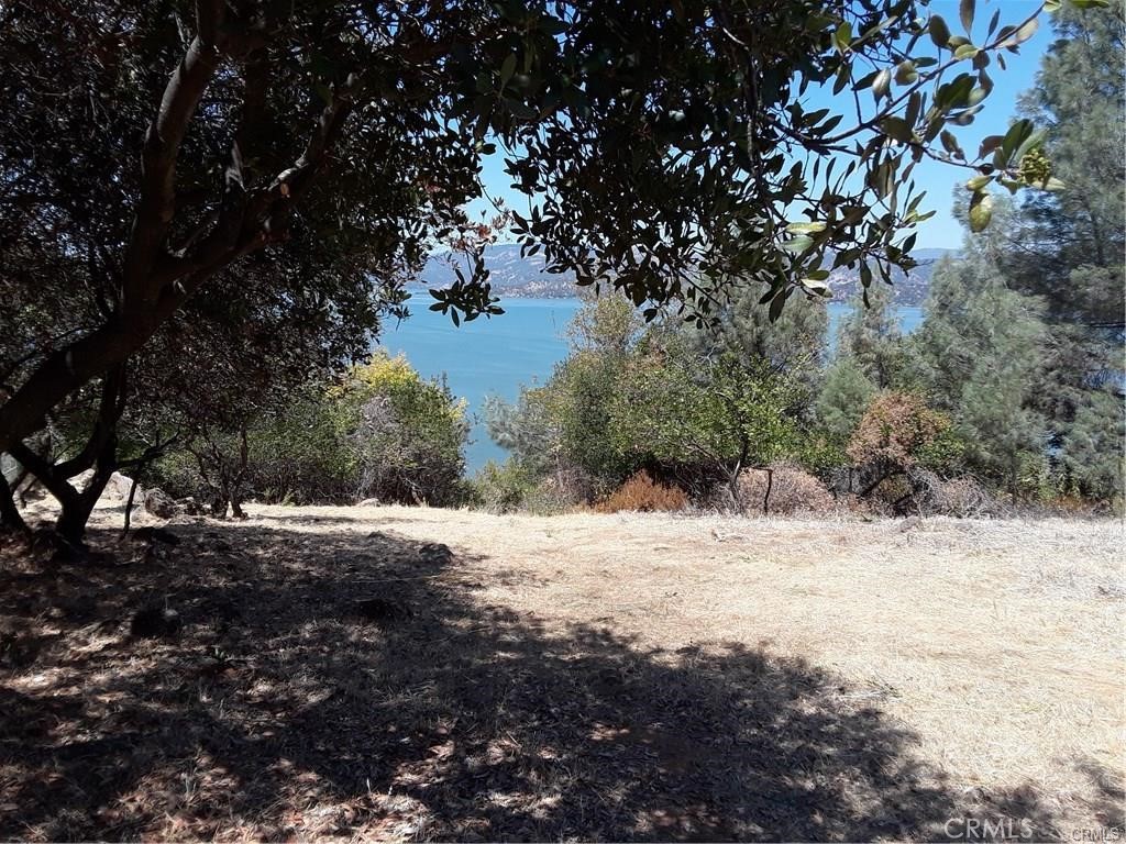 10508 Edgewater Drive Property Photo 2