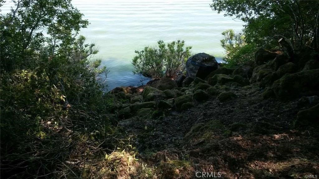 10508 Edgewater Drive Property Photo 8