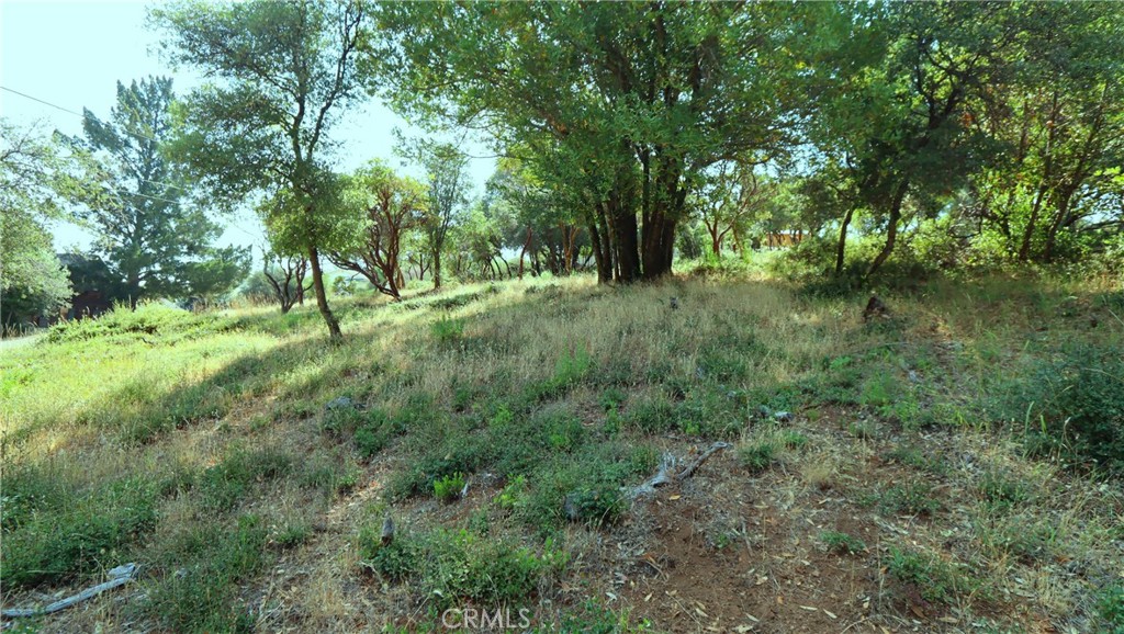 9523 Tenaya Way Property Photo 1