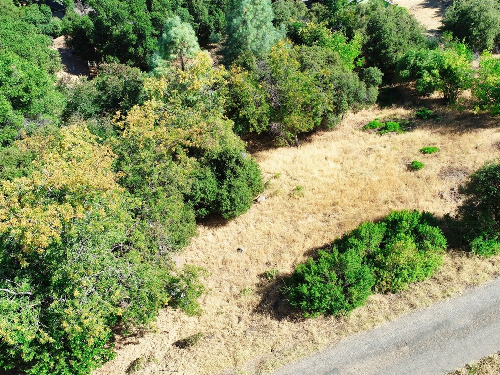 10610 Boren Bega Drive Property Photo 3