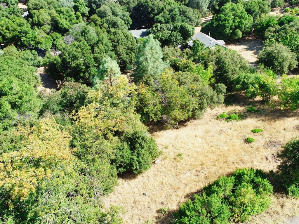 10610 Boren Bega Drive Property Photo 4