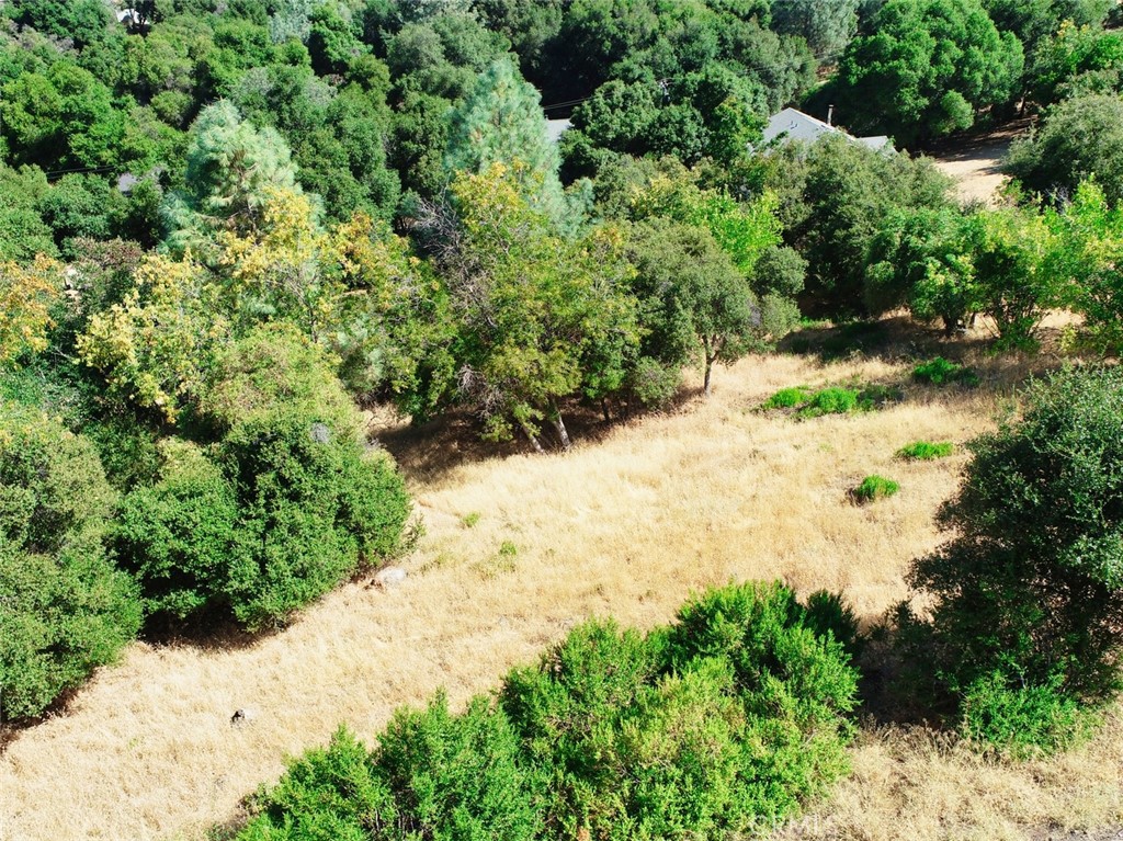10610 Boren Bega Drive Property Photo 6