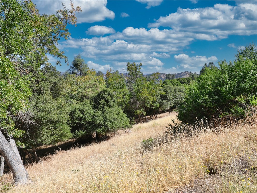 10610 Boren Bega Drive Property Photo 8