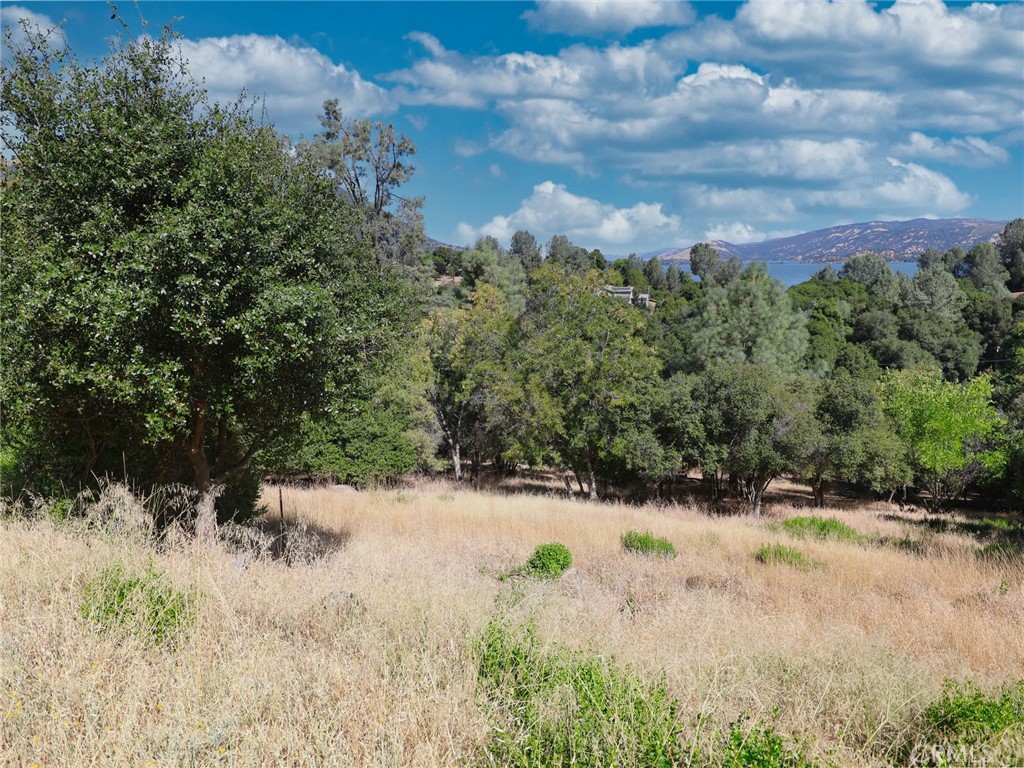 10610 Boren Bega Drive Property Photo 9