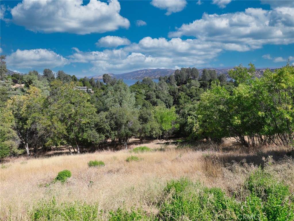 10610 Boren Bega Drive Property Photo 10