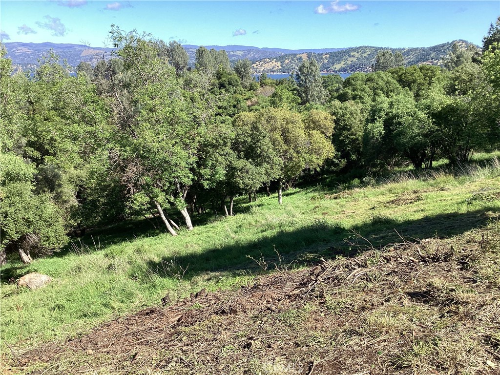 10610 Boren Bega Drive Property Photo 11