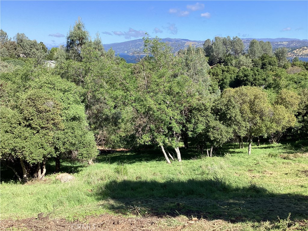 10610 Boren Bega Drive Property Photo 13