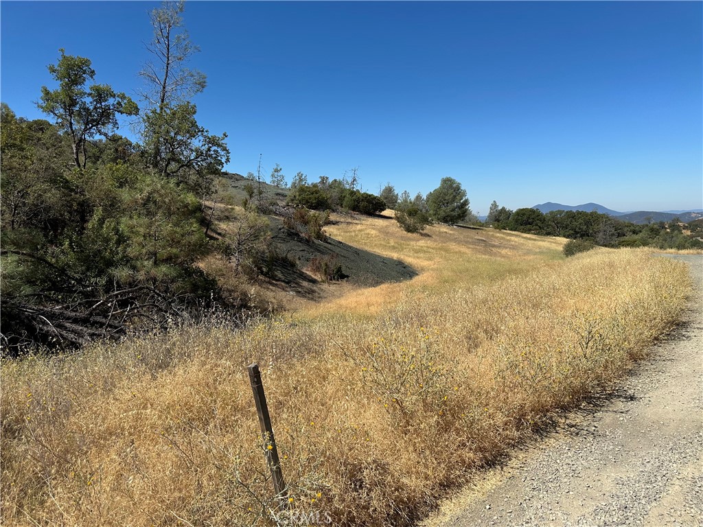 22017 No Guns Road Property Photo 1
