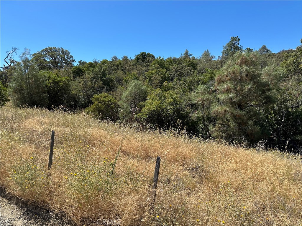22017 No Guns Road Property Photo 2