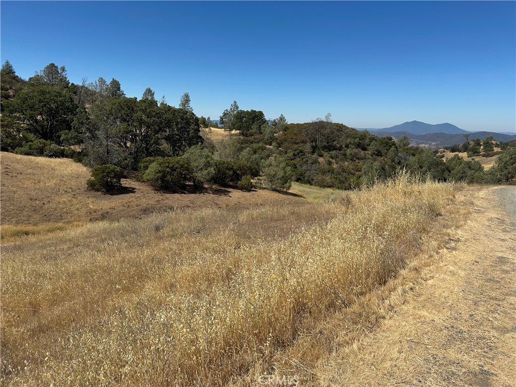 22017 No Guns Road Property Photo 6