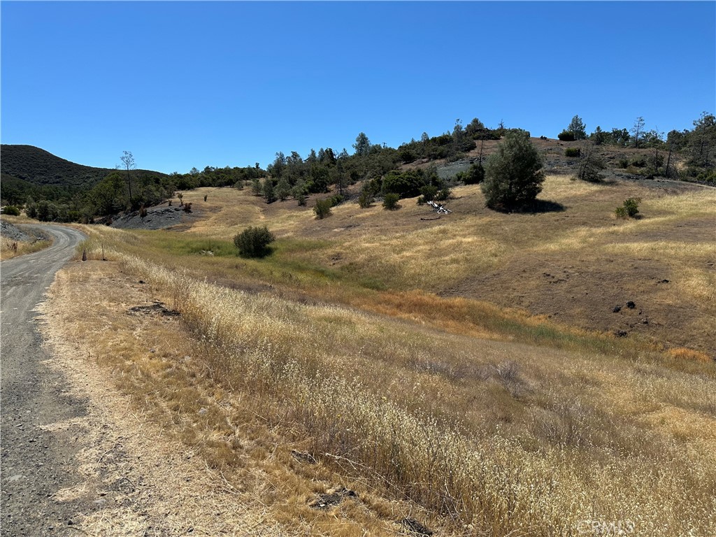22017 No Guns Road Property Photo 8