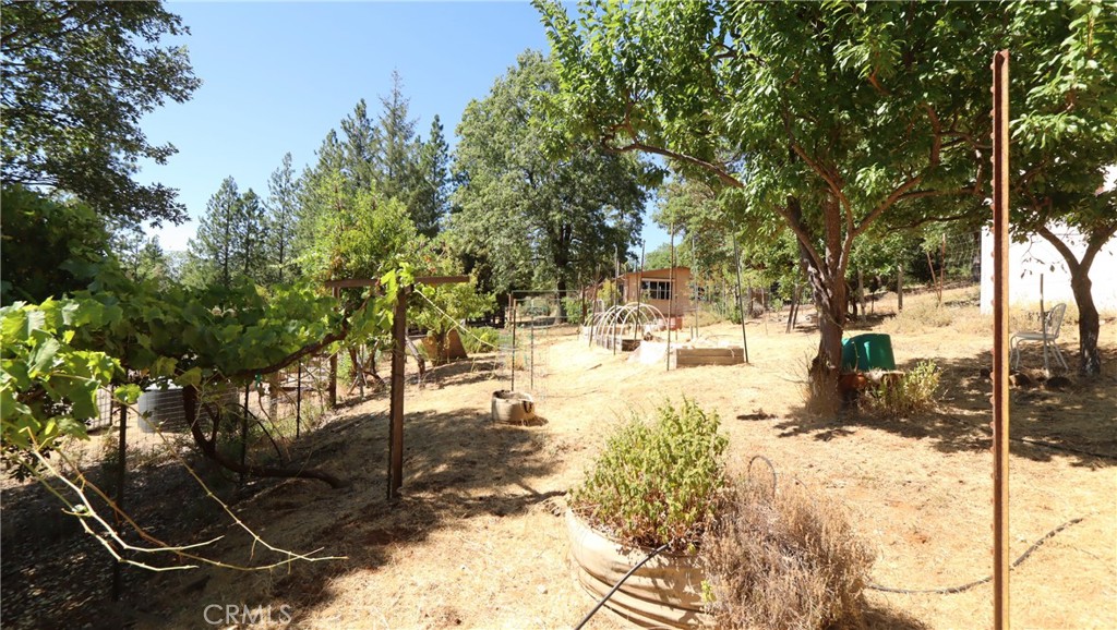 11444 Bottle Rock Road Property Photo 8