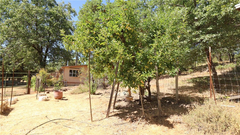 11444 Bottle Rock Road Property Photo 11