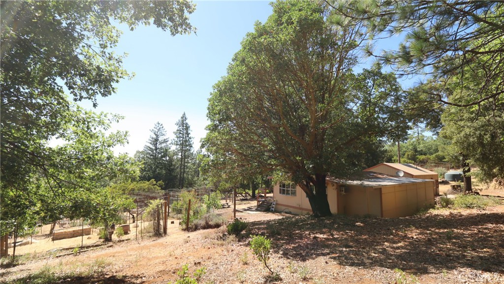 11444 Bottle Rock Road Property Photo 13