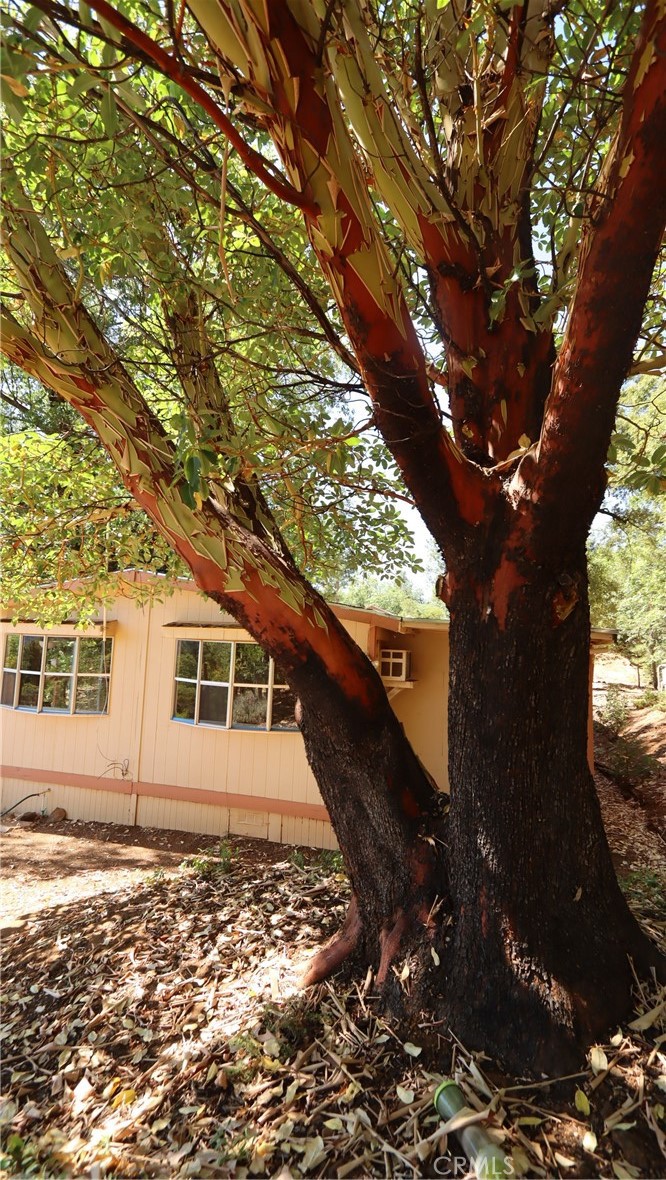 11444 Bottle Rock Road Property Photo 17