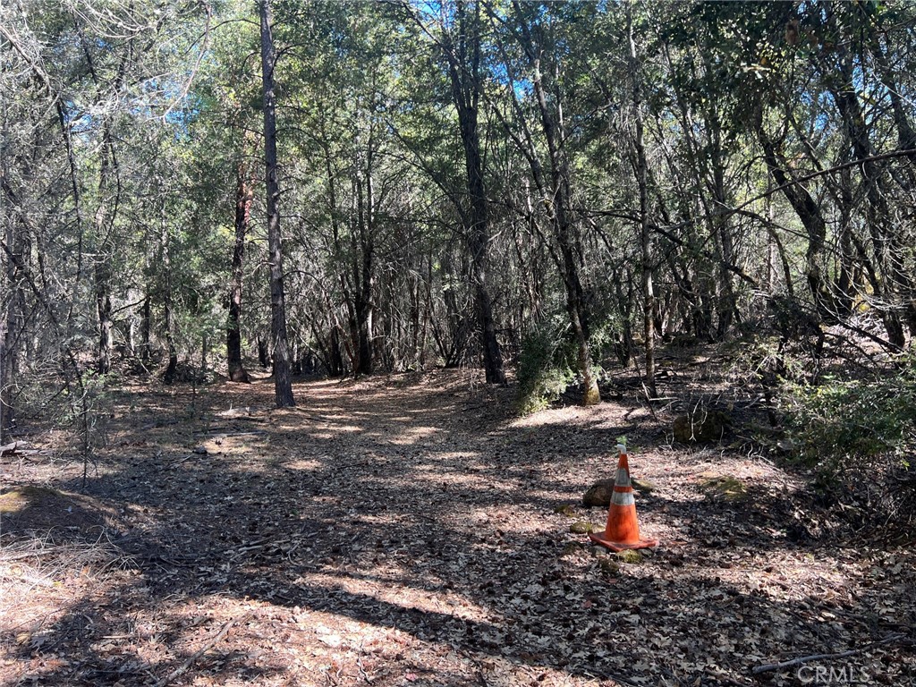 11444 Bottle Rock Road Property Photo 46