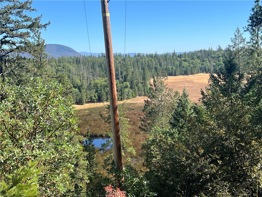 11444 Bottle Rock Road Property Photo 48