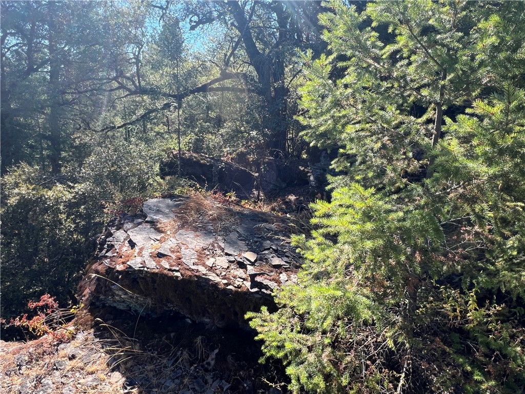 11444 Bottle Rock Road Property Photo 49