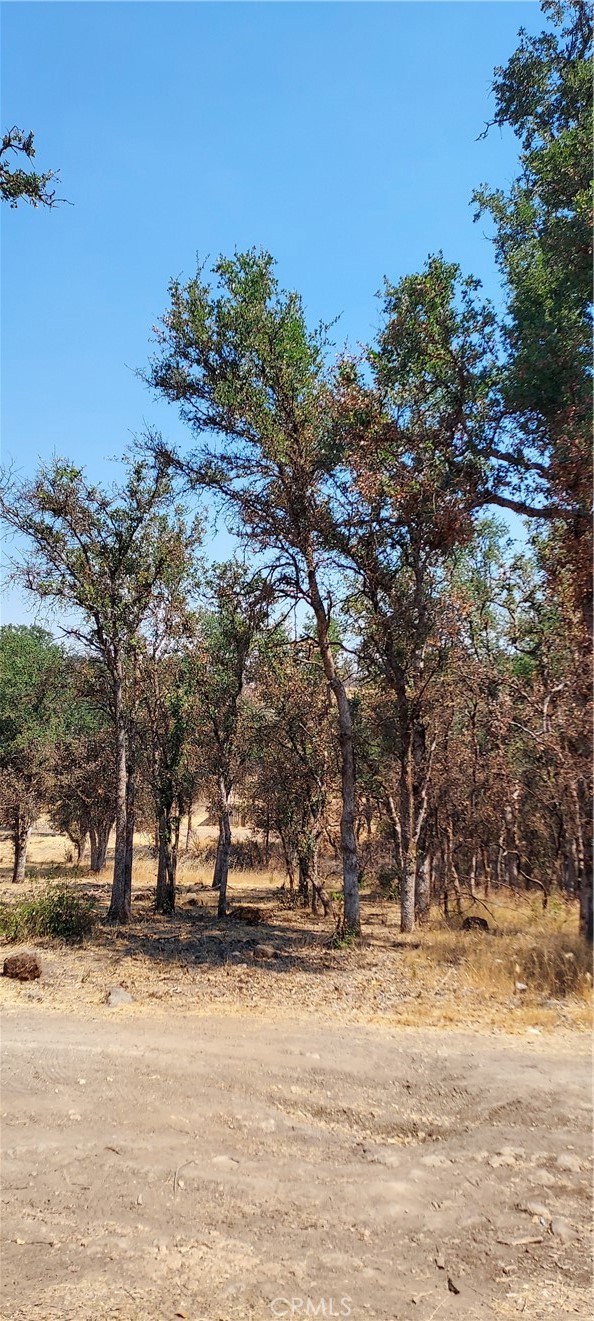 16034 13th Avenue Property Photo 1