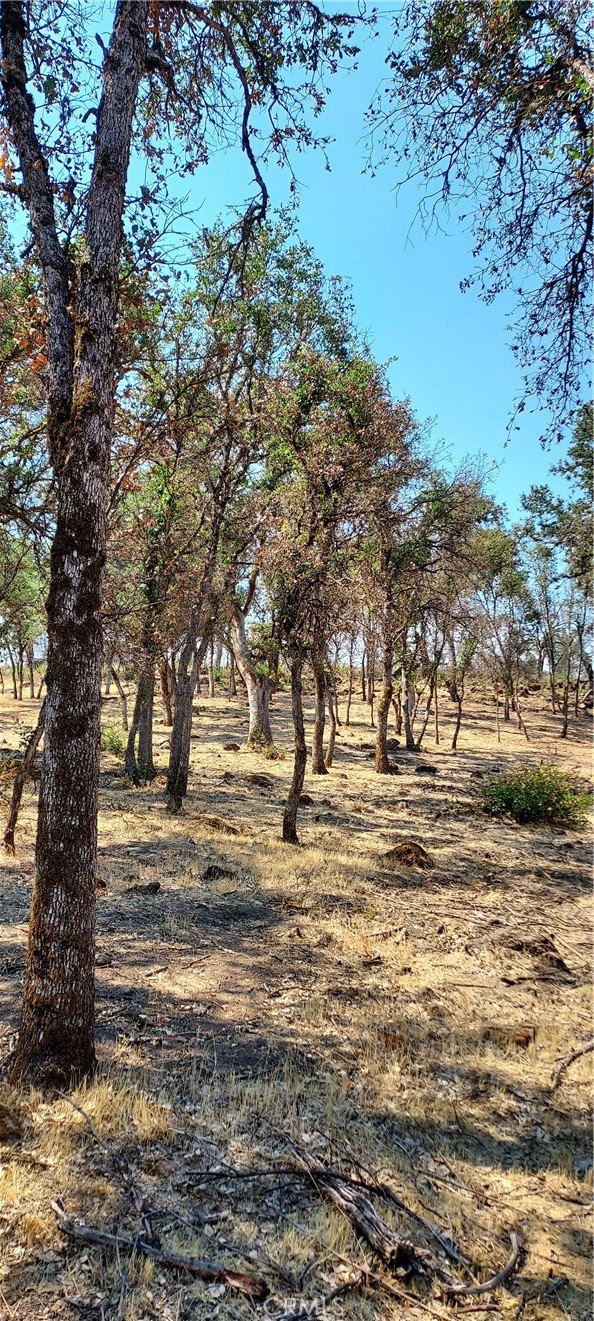16034 13th Avenue Property Photo 3