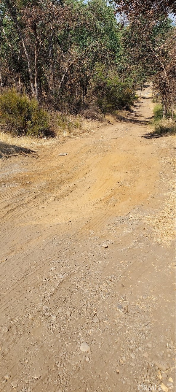16034 13th Avenue Property Photo 5