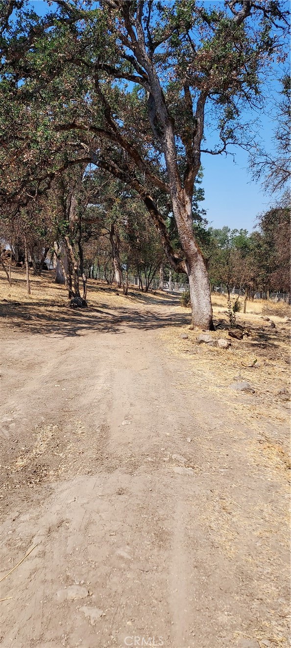 16034 13th Avenue Property Photo 8