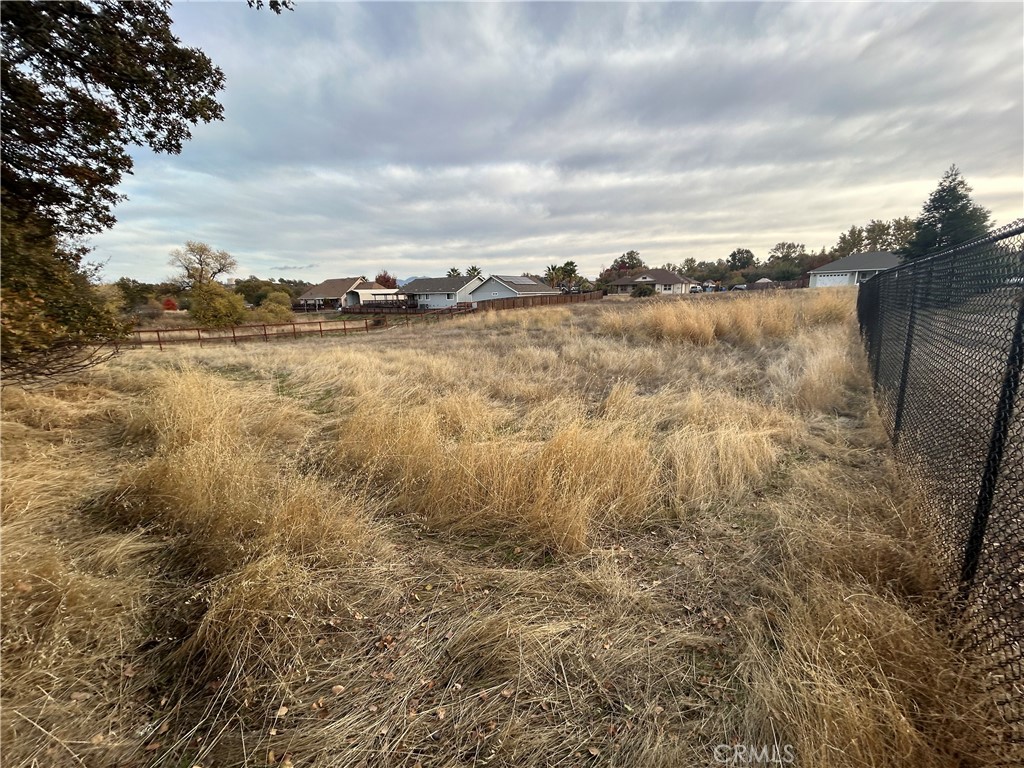 1250 Oak Park Way Property Photo 7