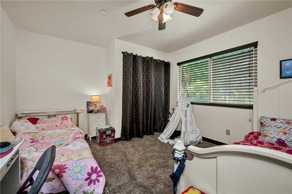 8290 Soda Bay Road Property Photo 11
