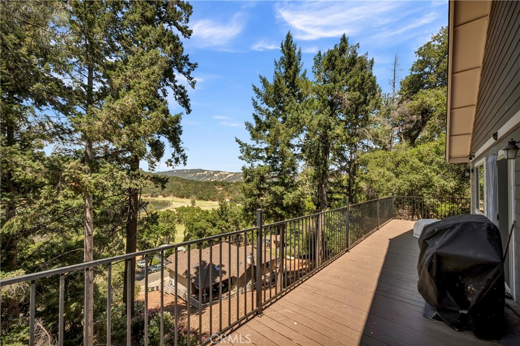8290 Soda Bay Road Property Photo 13