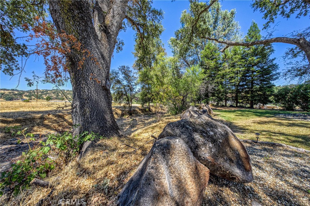 18164 Fishhook Court Property Photo 47