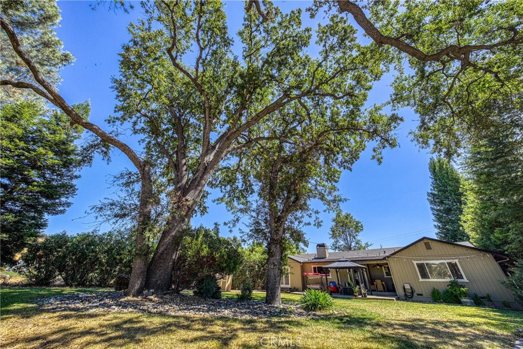 18164 Fishhook Court Property Photo 49