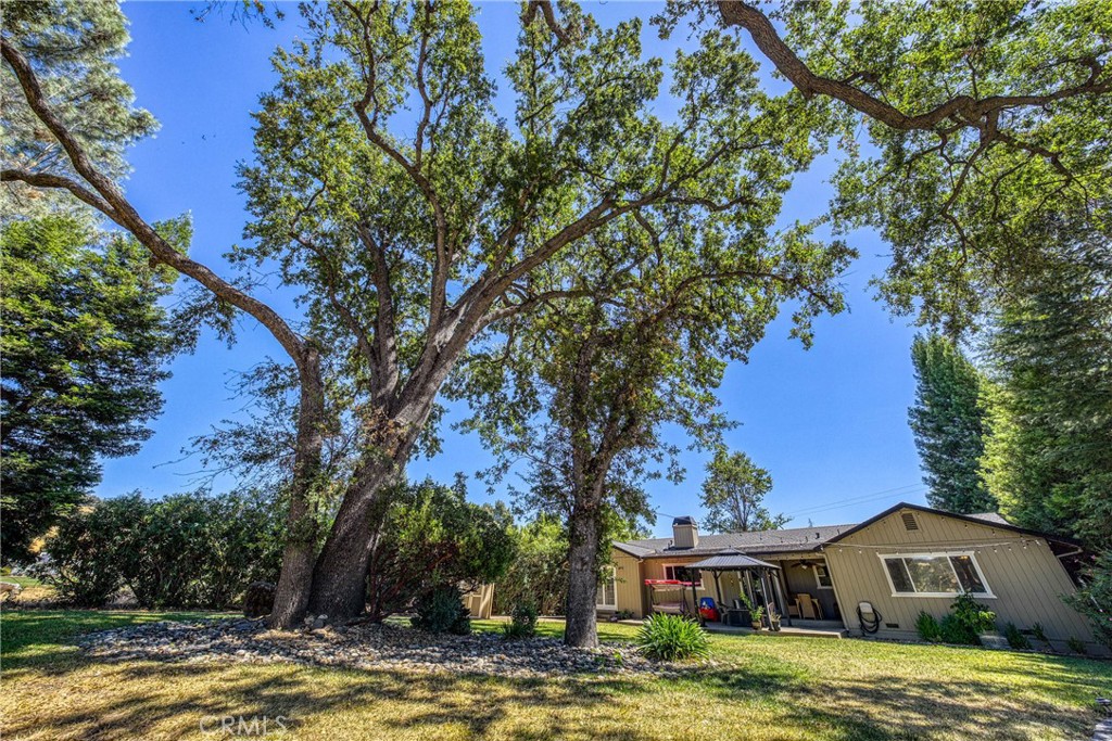 18164 Fishhook Court Property Photo 49