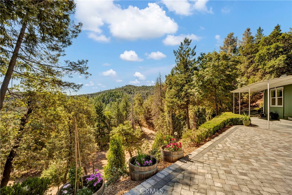 14986 Western Mine Road Property Photo 31