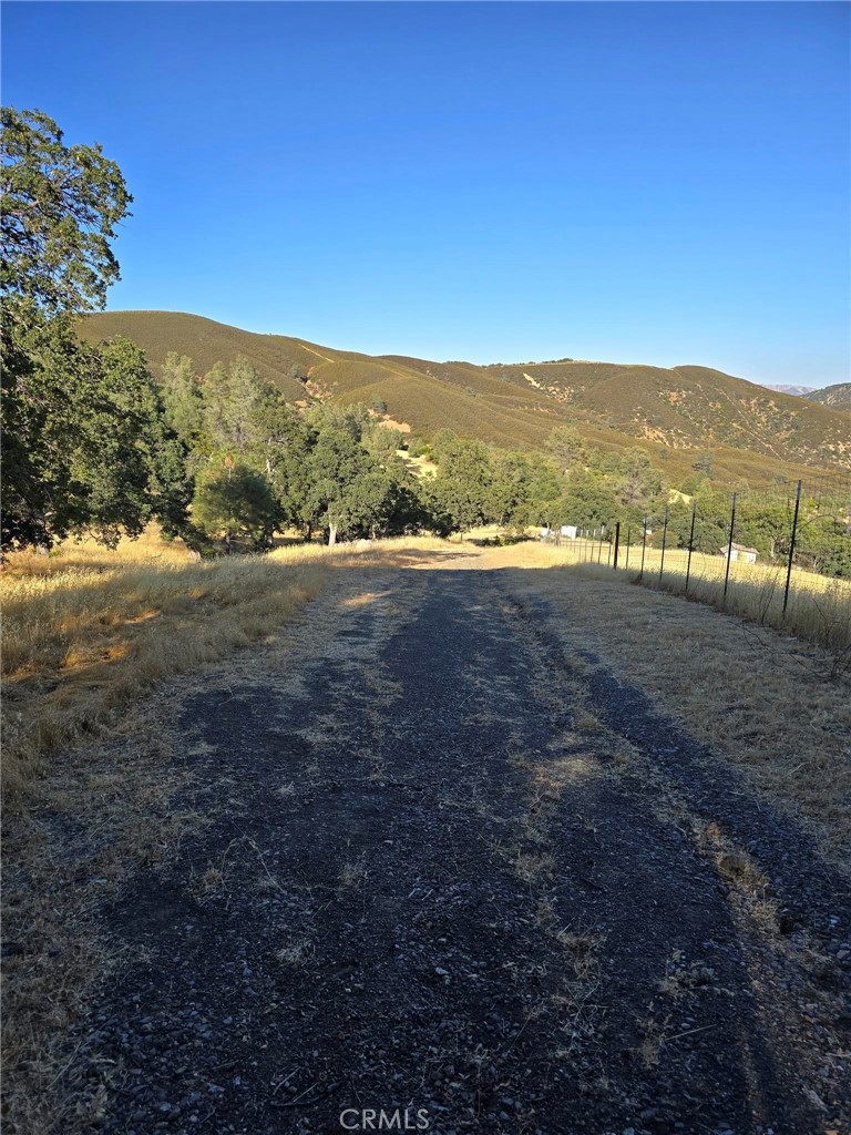 728 Watertrough Road Property Photo 13