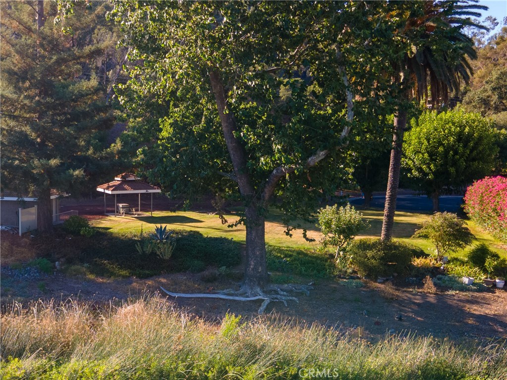 8336 Paradise Valley Boulevard Property Photo 15