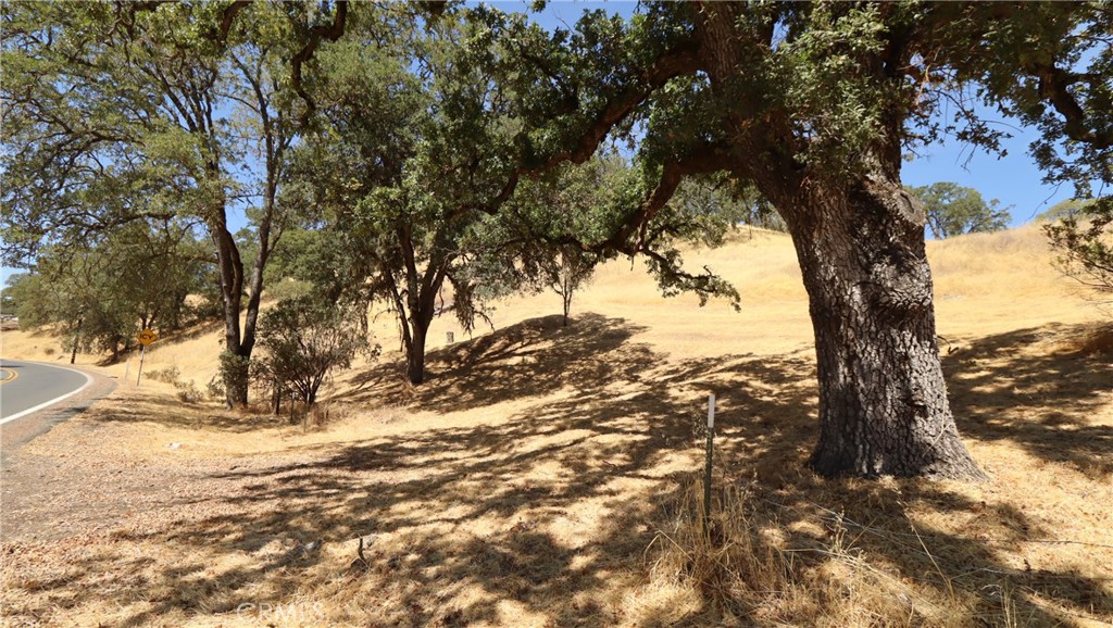 620 Park Way Property Photo 1