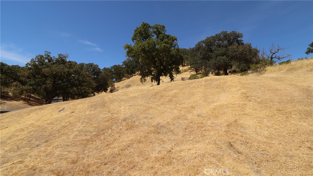 620 Park Way Property Photo 9