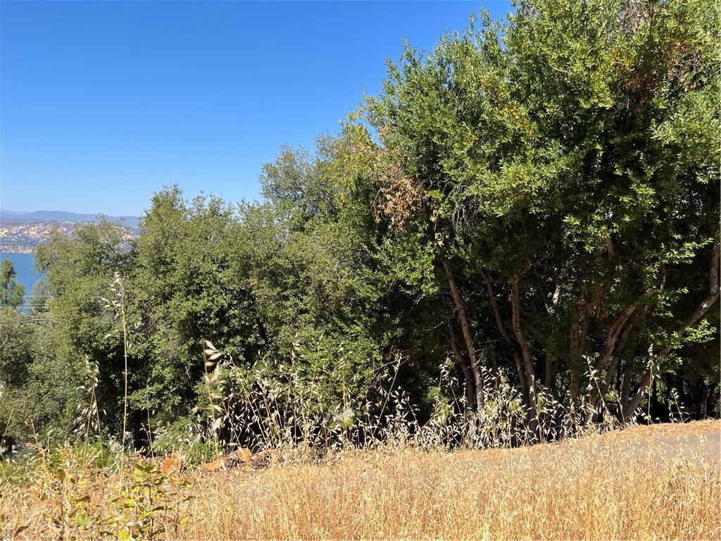 10009 Point Lakeview Road Property Photo 7