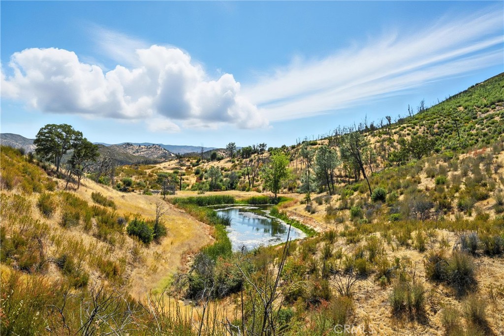 26648 Jerusalem Grade Property Photo 2