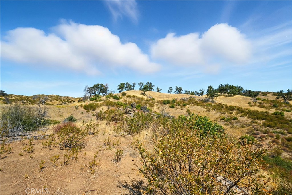 26648 Jerusalem Grade Property Photo 5