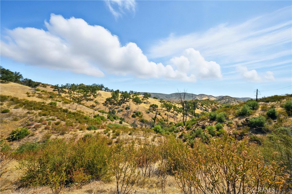 26648 Jerusalem Grade Property Photo 6
