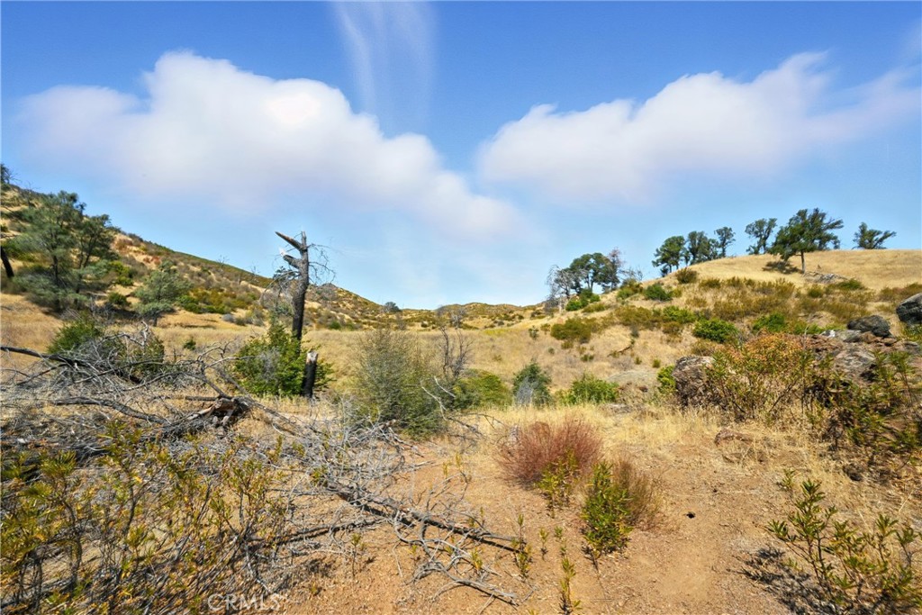 26648 Jerusalem Grade Property Photo 7