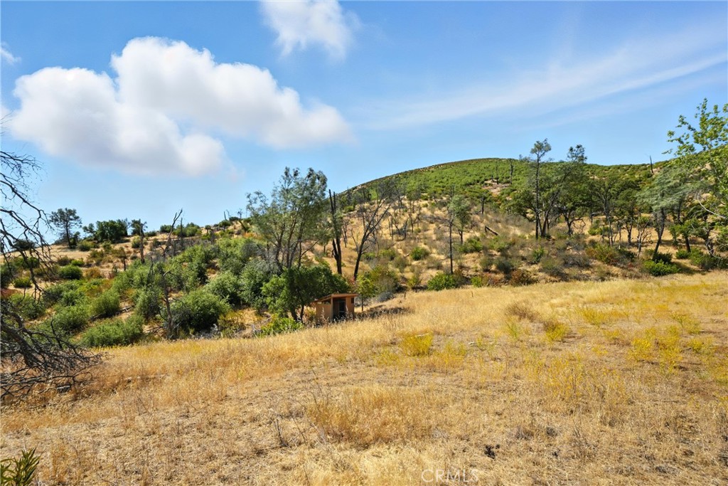 26648 Jerusalem Grade Property Photo 8